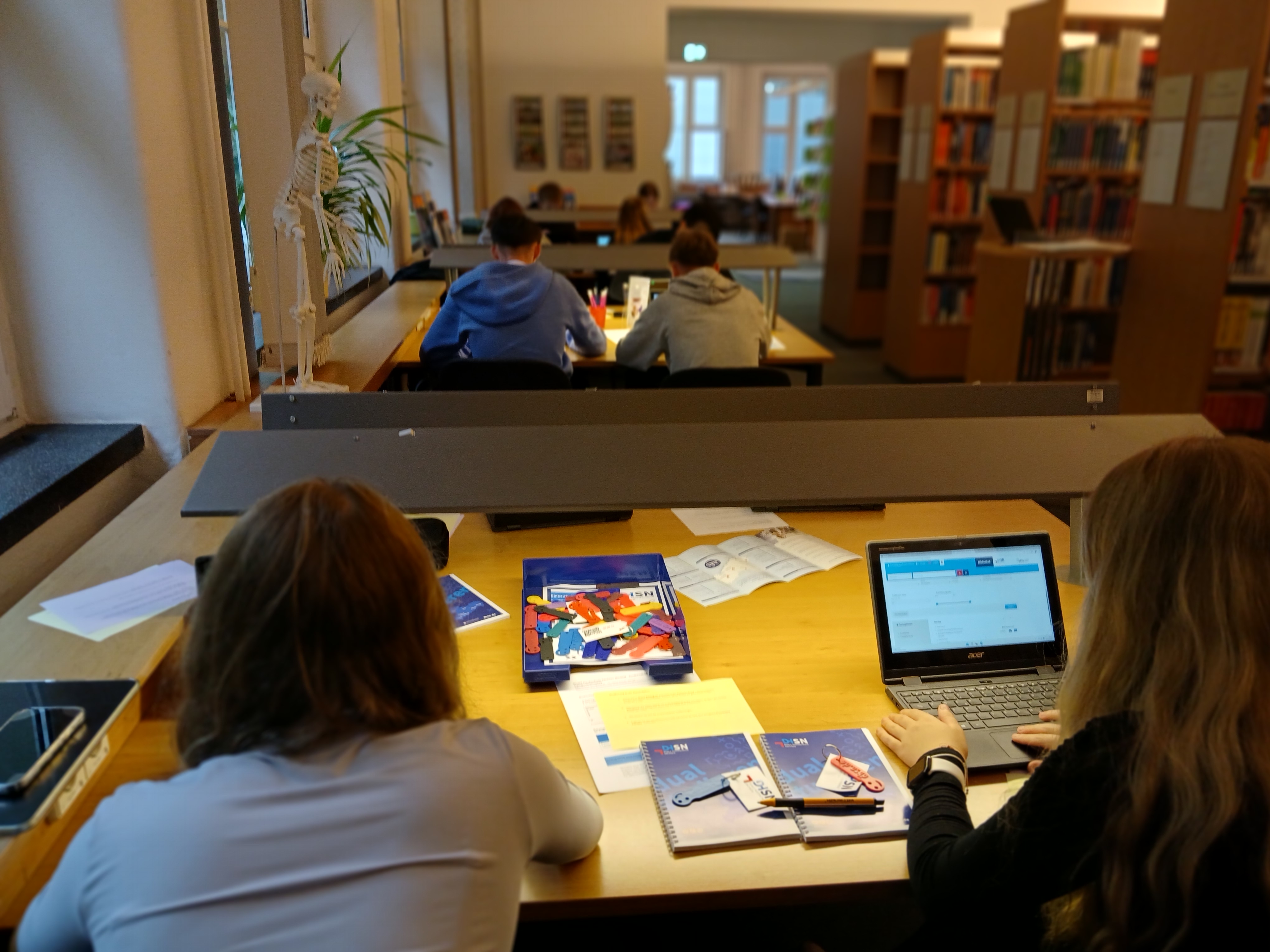 Schüler in der Biobliothek bei der Recherche